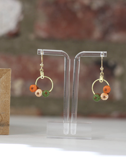 Pumpkin Hoops Small